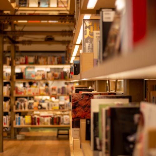 brown wooden shelf with books